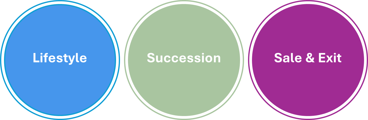 Owner Strategy Circle Diagram-1 Owner Strategy Circle Diagram-1