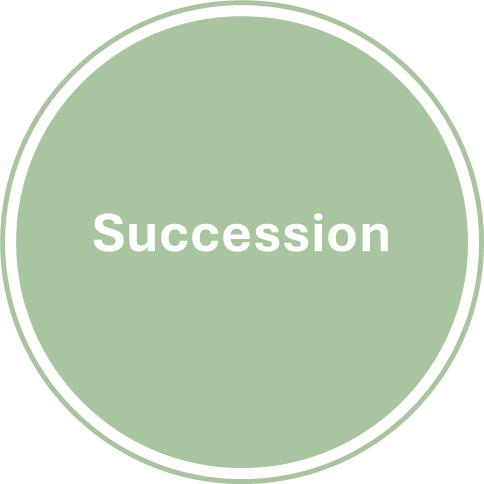 Succession Circle Succession Circle