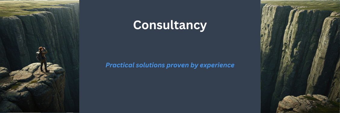 Consultancy Banner Consultancy Banner